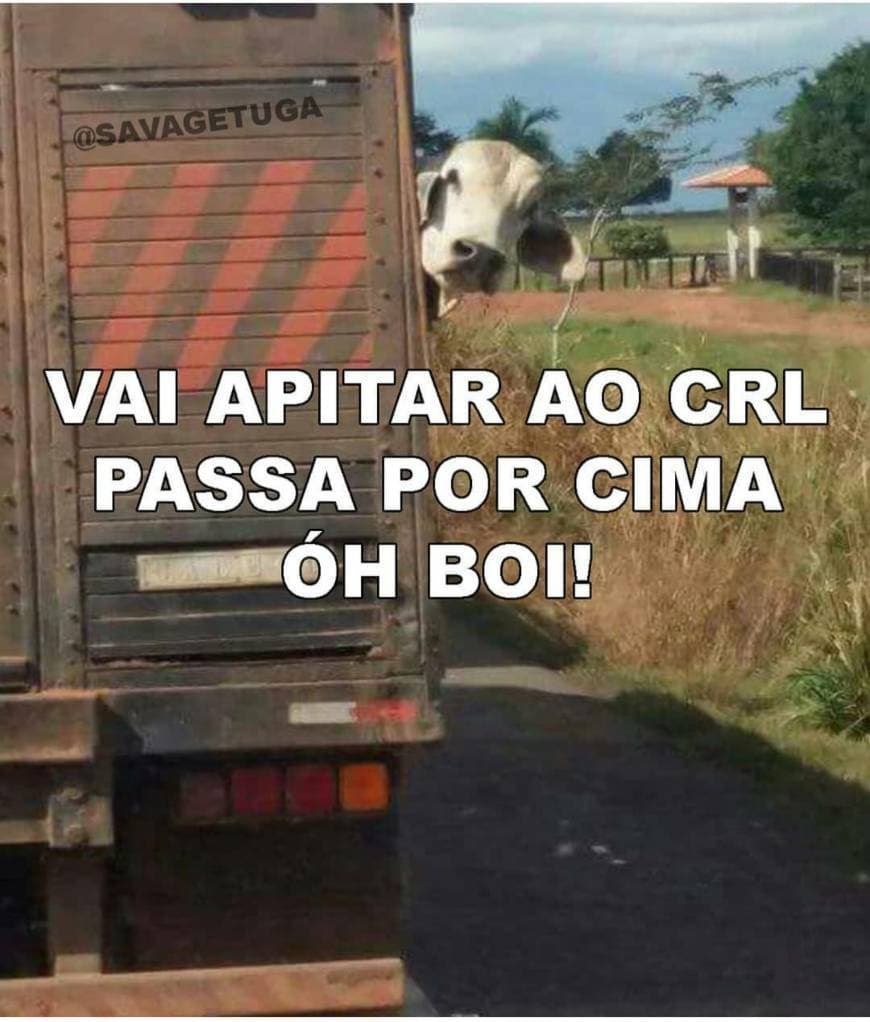 Moda Passa por cima 😂