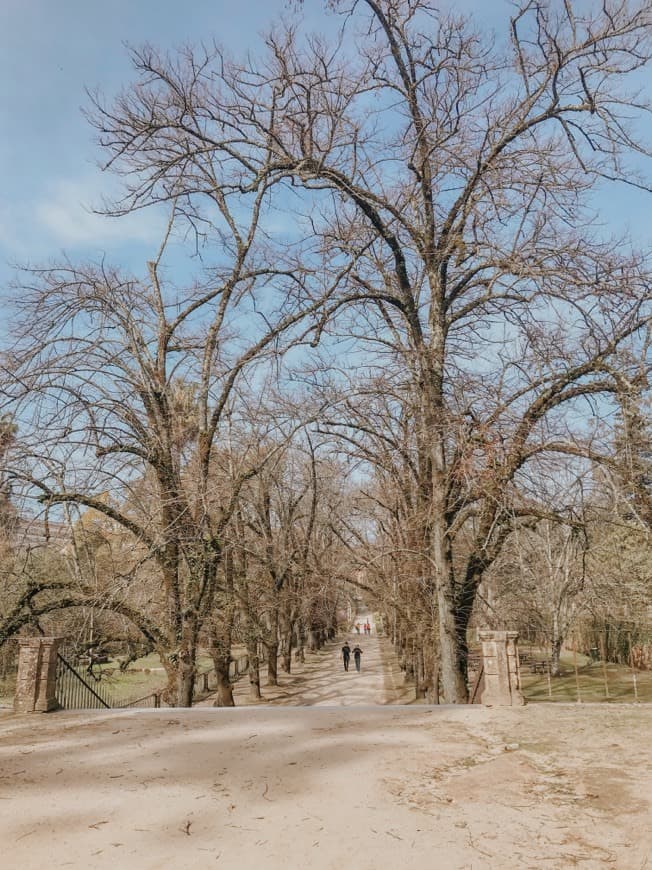 Lugar Jardim Botânico da Universidade de Coimbra