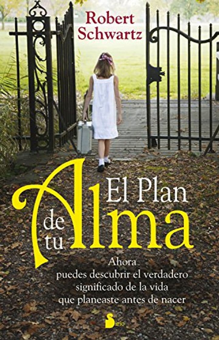 Libro EL PLAN DE TU ALMA