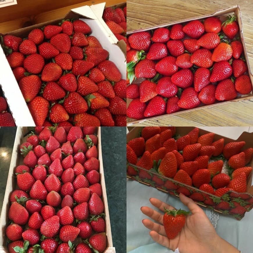 Product Morango 🍓