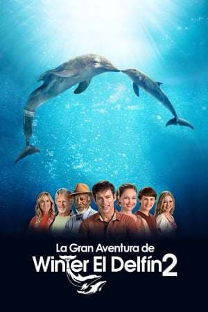 Película Dolphin Tale 2