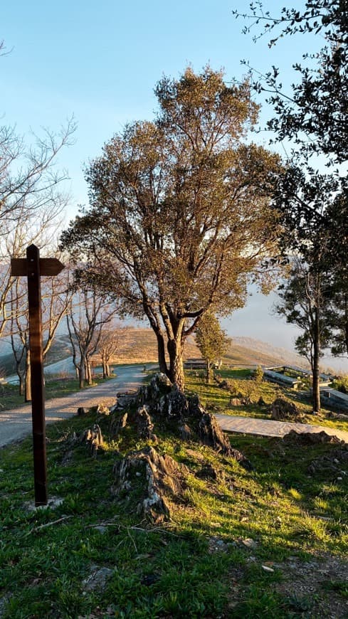 Place Monte Da Senhora Da Mó