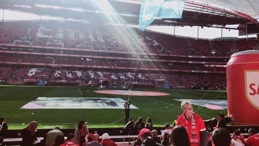 Place Estádio Sport Lisboa e Benfica