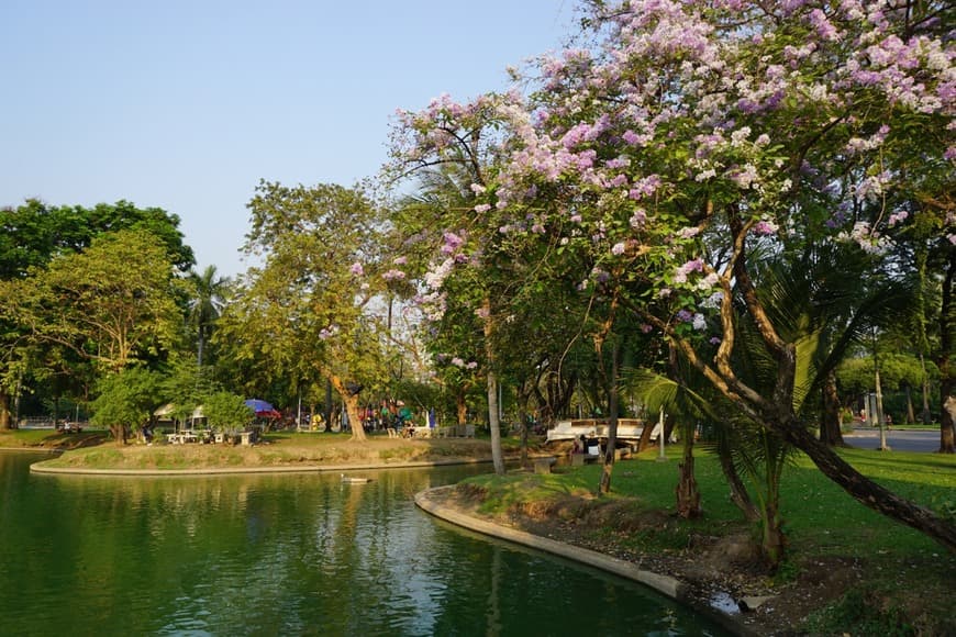 Lugar Lumphini Park