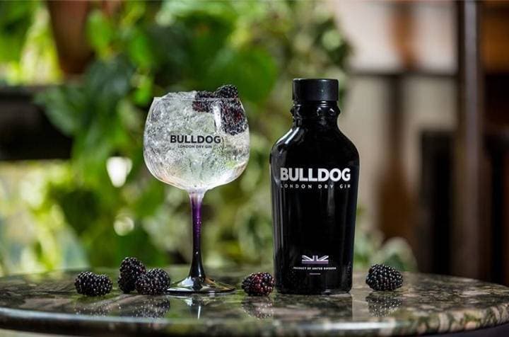 Product Bulldog Gin