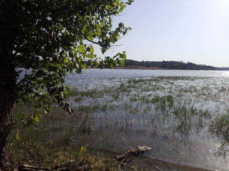 Place Barragem de Montargil