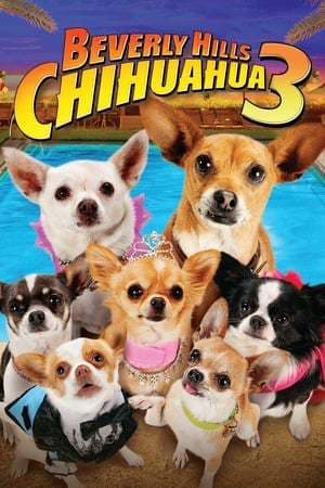 Movie Beverly Hills Chihuahua 3 - Viva La Fiesta!