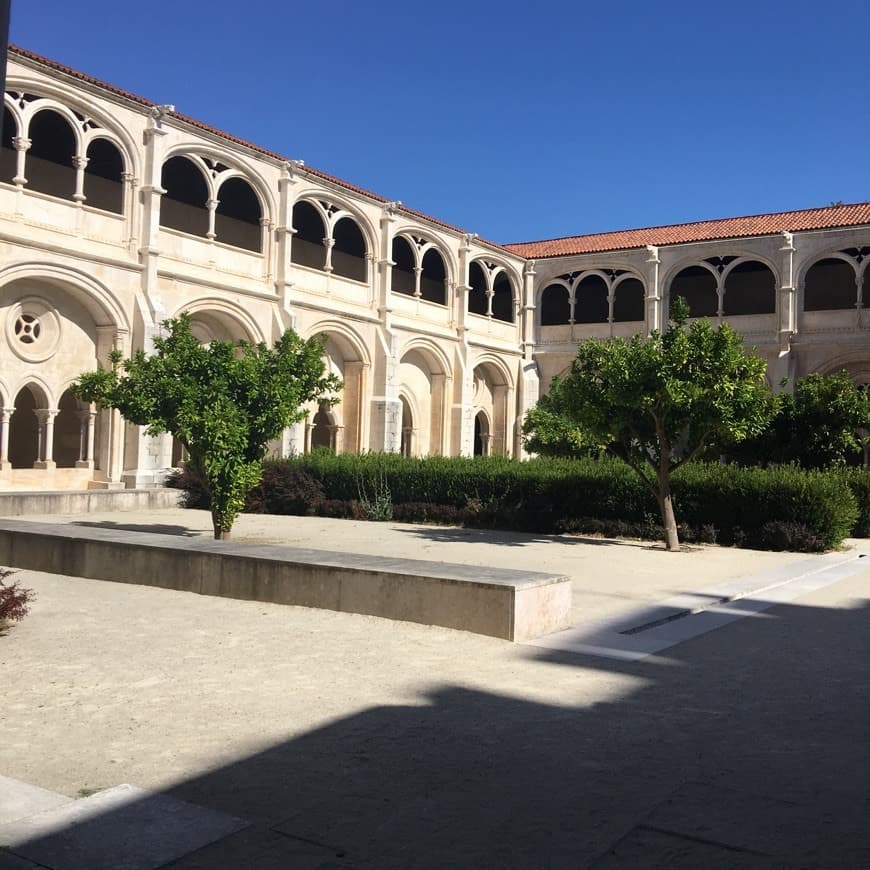 Lugar Monasterio de Alcobaça