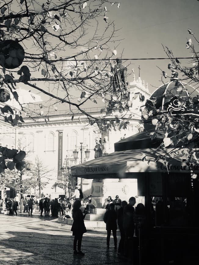 Place Plaza Luís de Camões