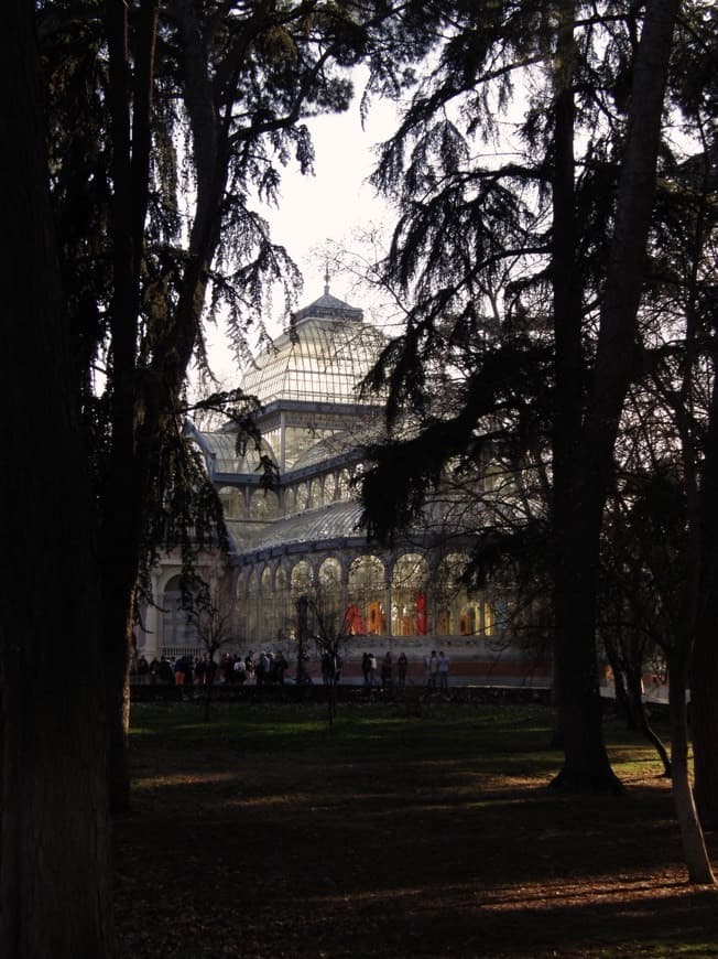 Lugar Palacio de Cristal