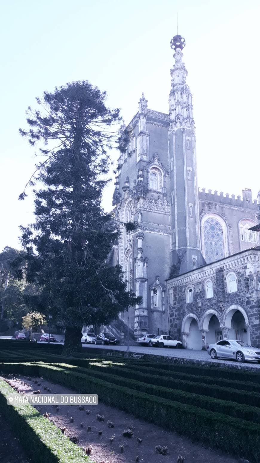 Place Mata Nacional do Buçaco