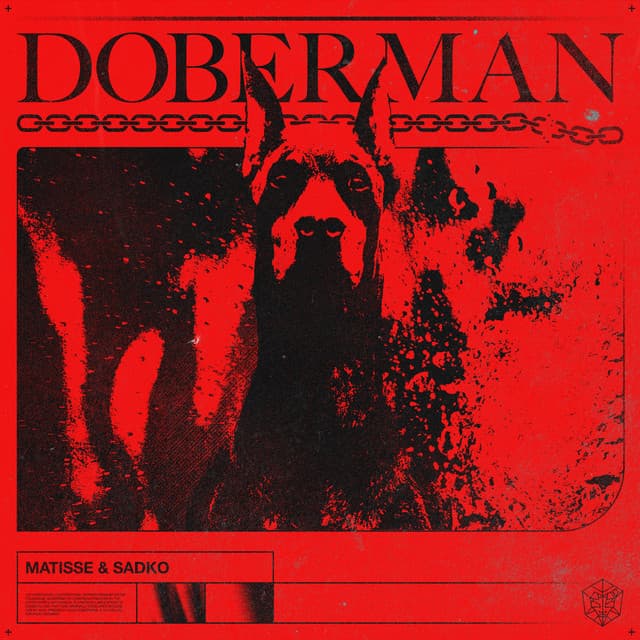 Canción Doberman