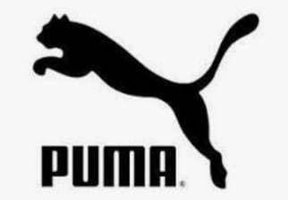 Fashion Puma