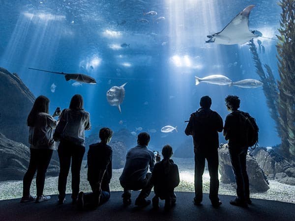 Lugar Oceanario de Lisboa