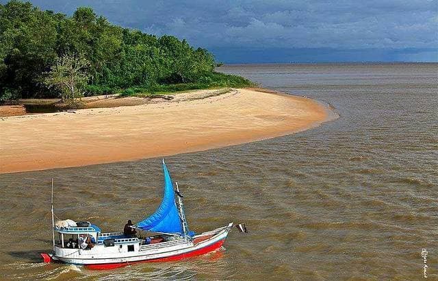 Place Ilha do Marajó