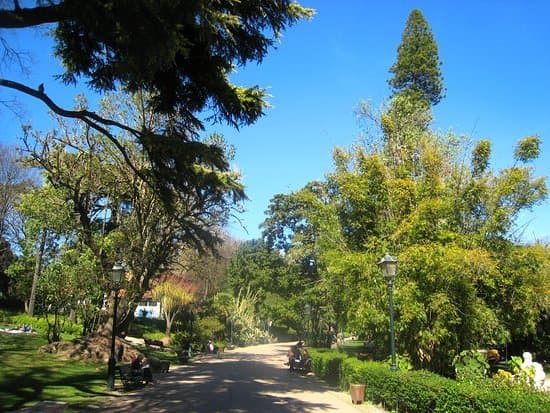 Place Jardim da Estrela