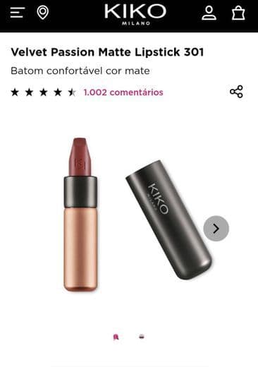 Fashion Velvet Passion Matte Lipstick