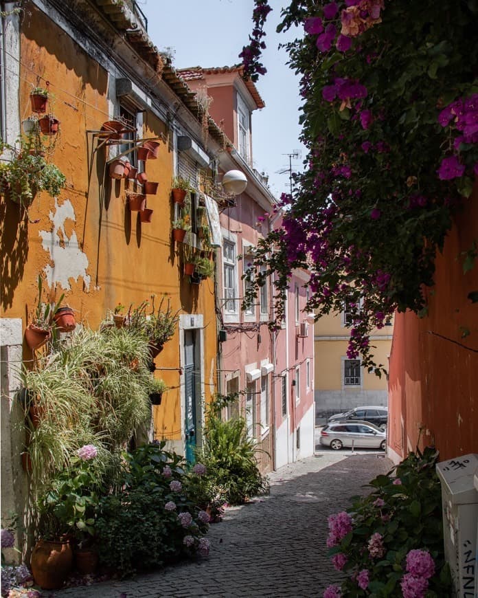 Place Tv. de São João de Deus