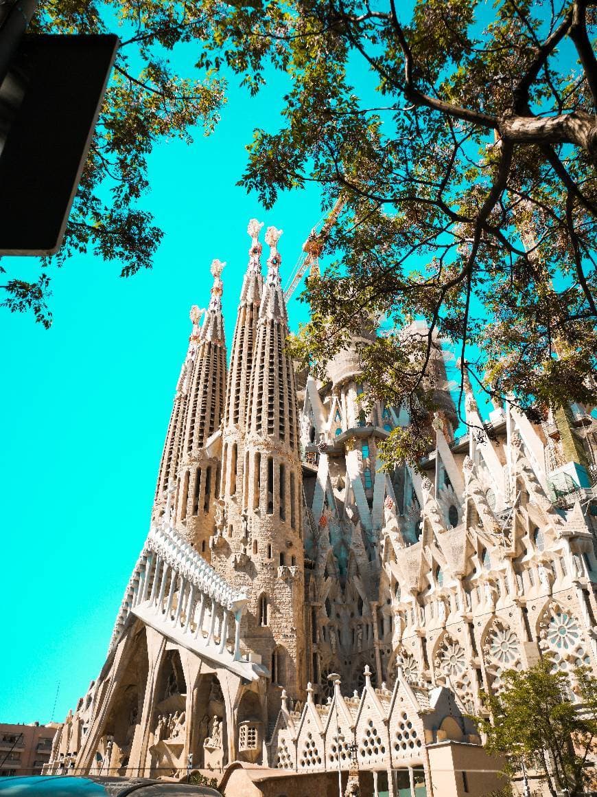 Lugar Basílica Sagrada Familia