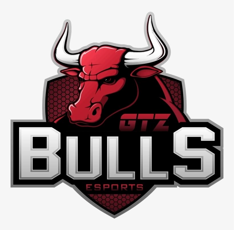 Moda Gtz bulls