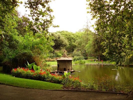 Place Jardin des Plantes