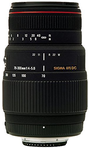 Electronic Sigma 70-300/4-5.6 APO EO