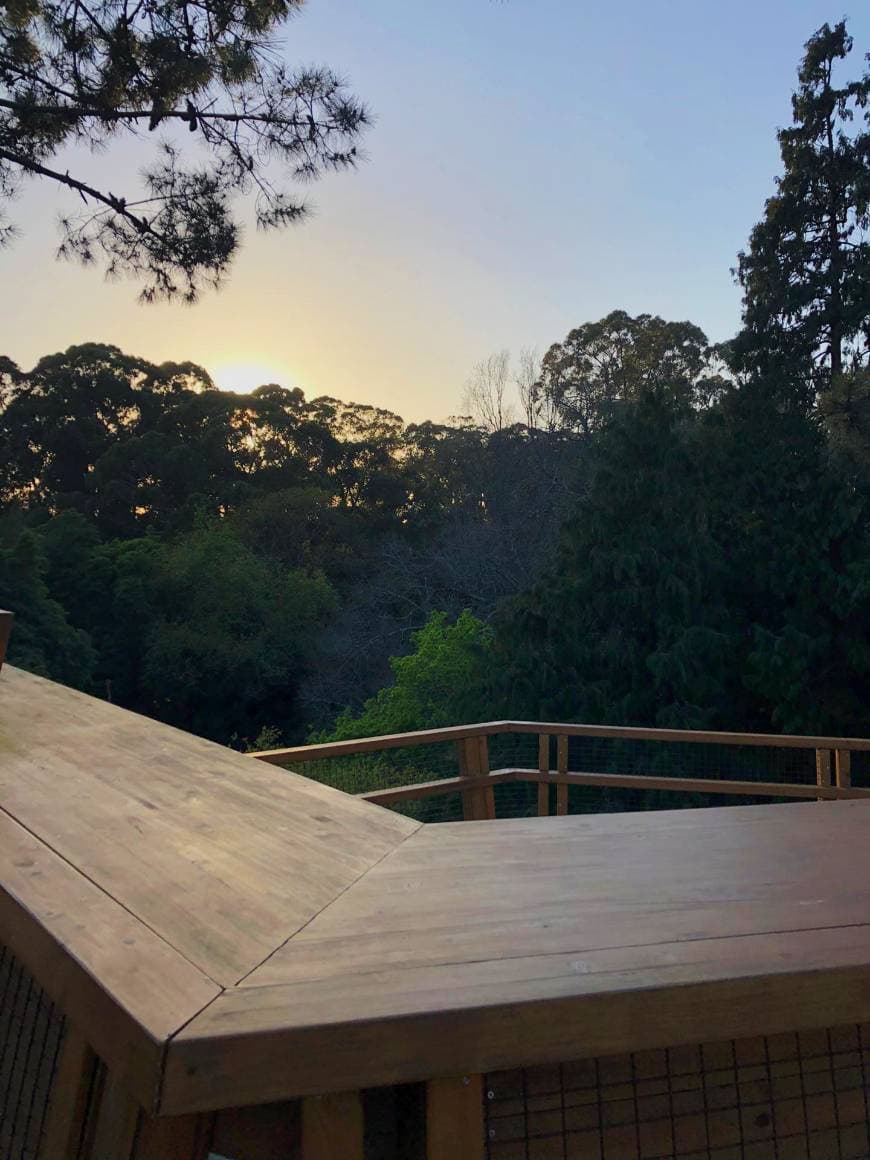 Lugar Treetop Walk Serralves