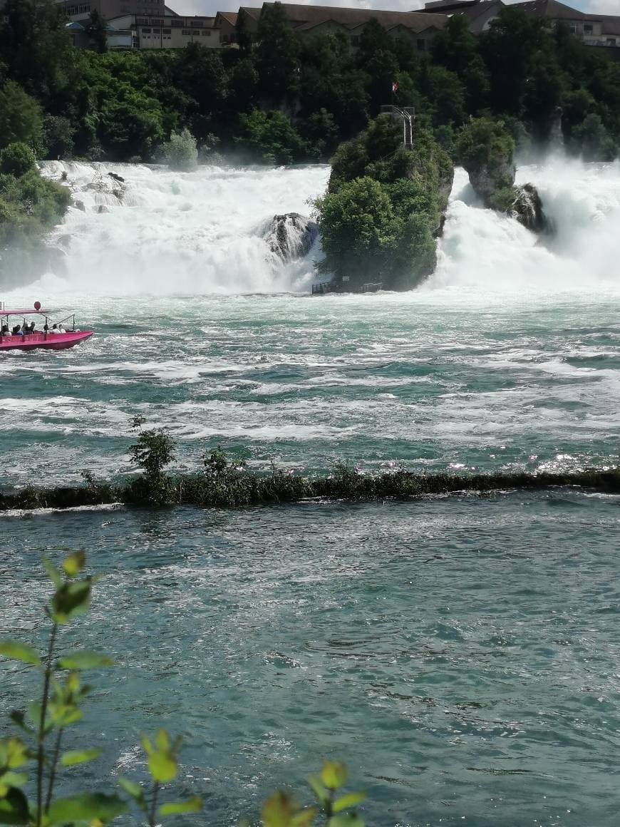 Place Rheinfall