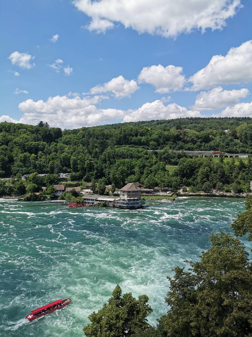 Place Rhine Falls