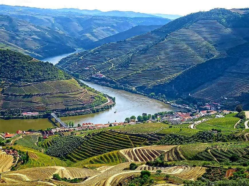 Lugar Cruzeiros no Douro