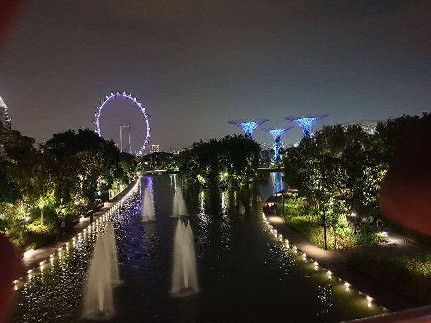 Lugar Marina Bay Sands