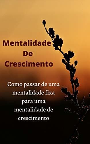 Book Mentalidade De Crescimento