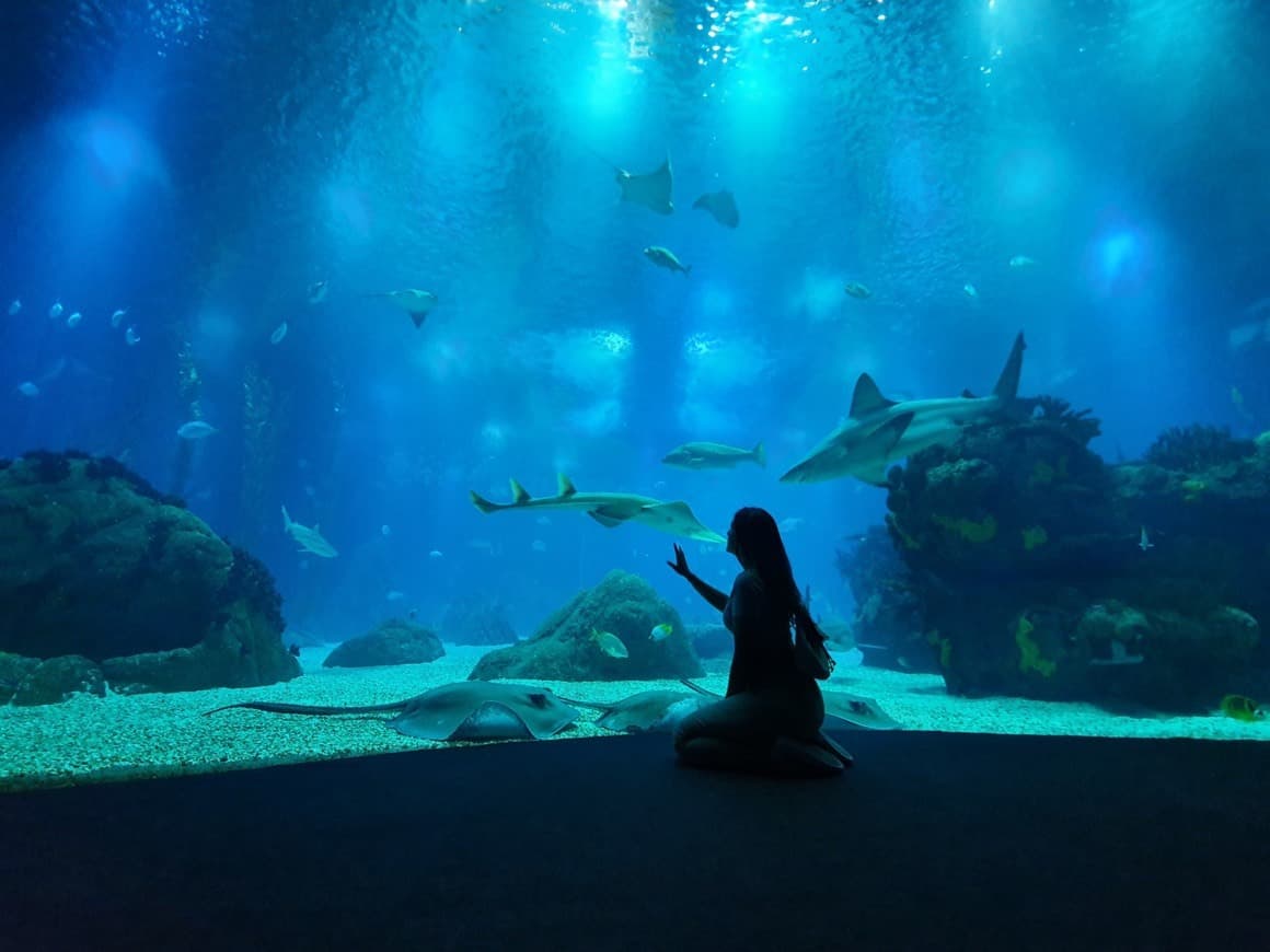 Lugar Oceanário de Lisboa