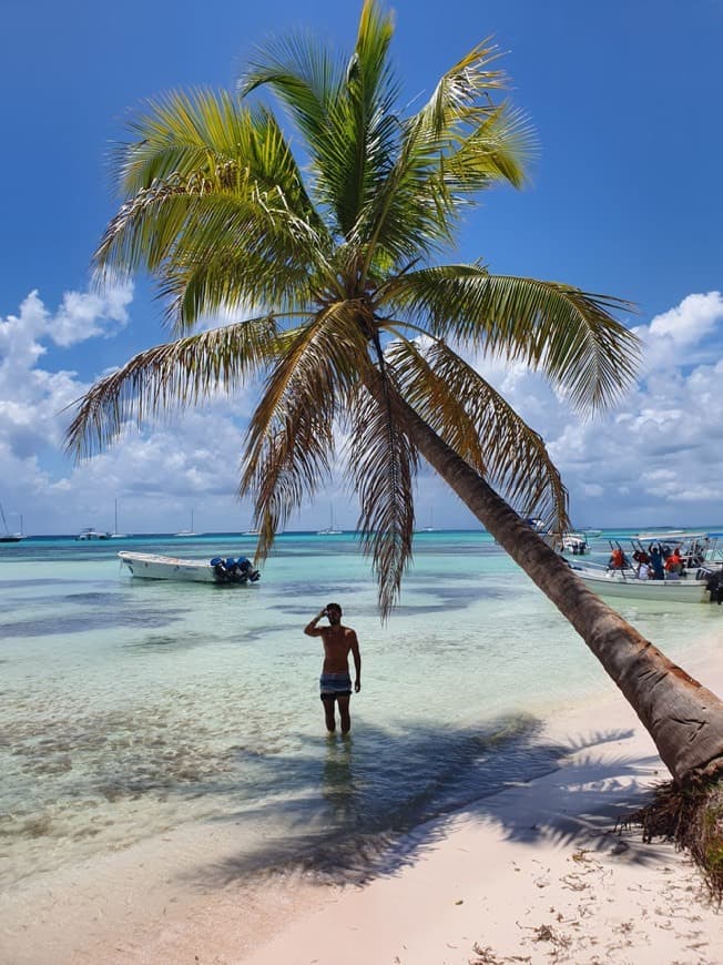 Place Isla Saona