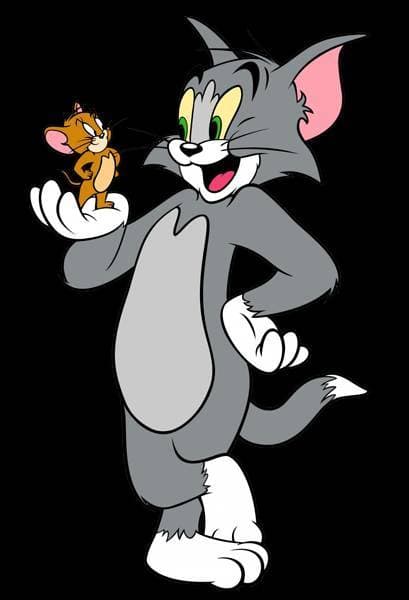 Fashion Tom and jerry