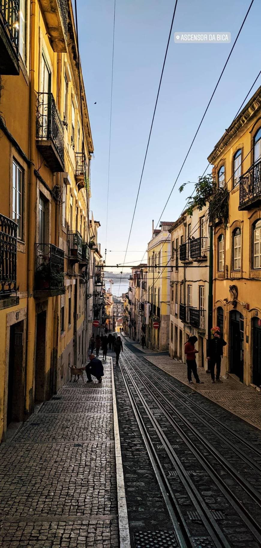 Lugar Elevador da Bica