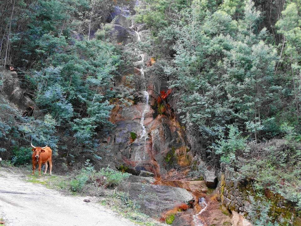 Lugar Peneda-Gerês National Park