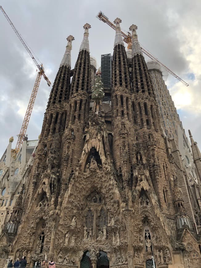 Lugar Basílica Sagrada Familia