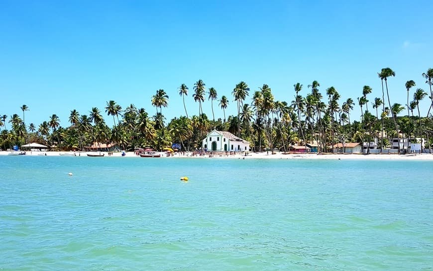 Place Praia dos Carneiros