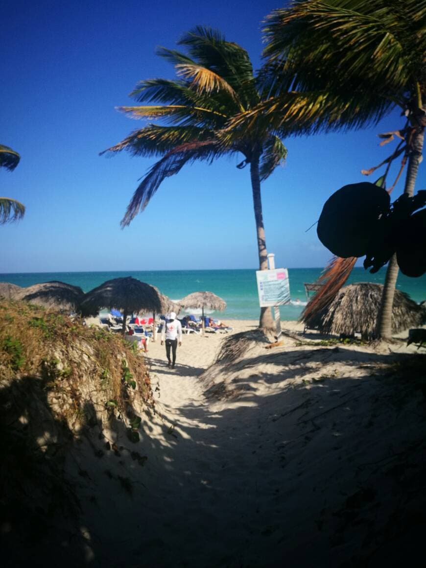 Lugar Varadero