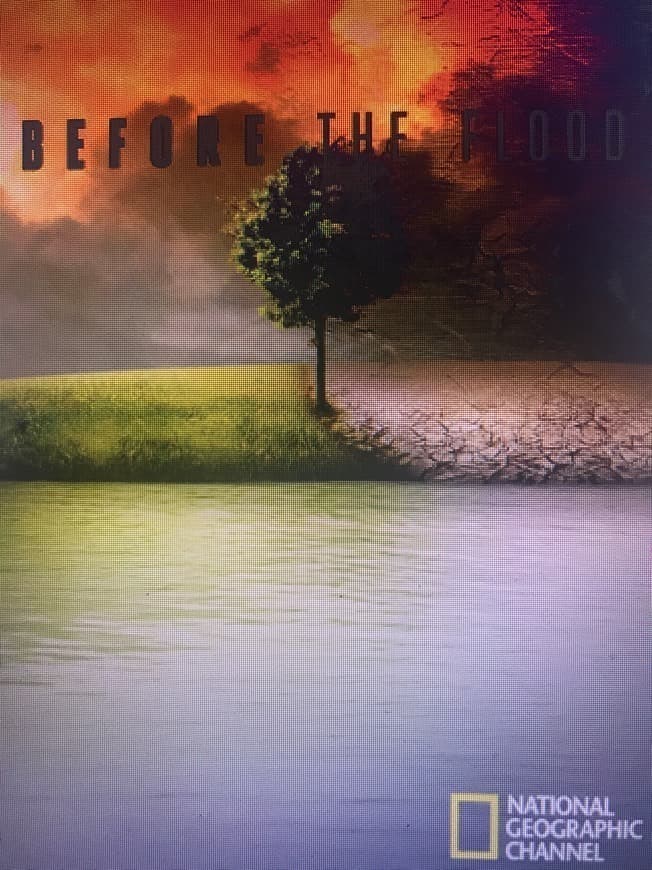 Película Before the Flood