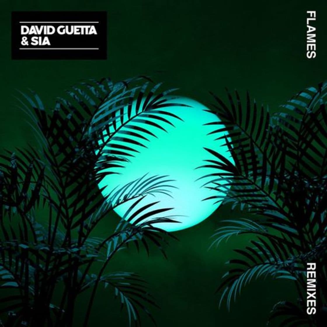 Canción Flames - David Guetta Remix