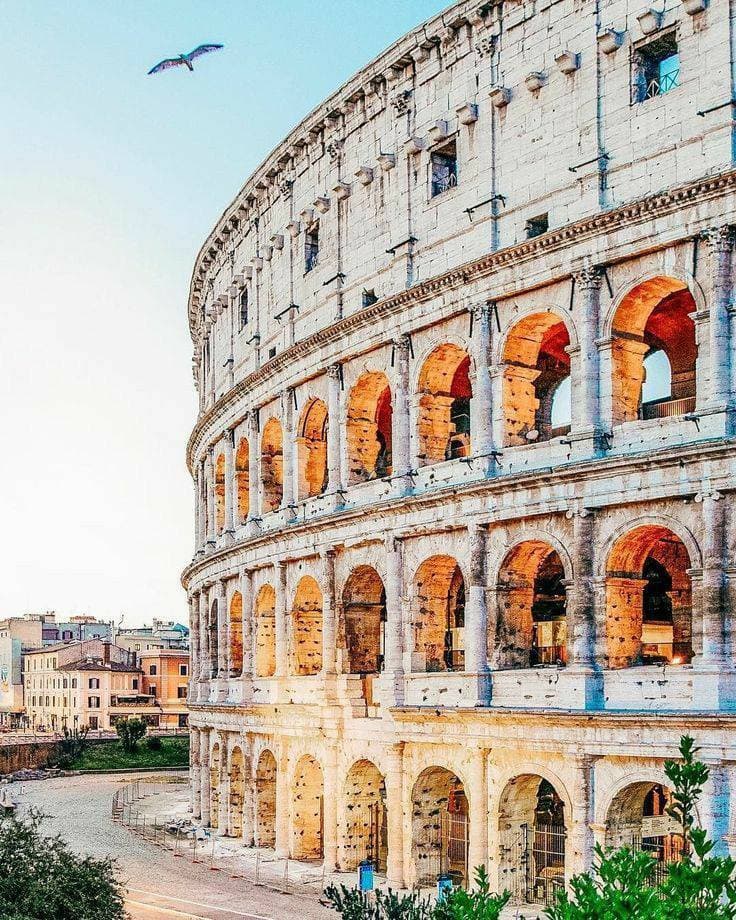 Place Coliseo de Roma