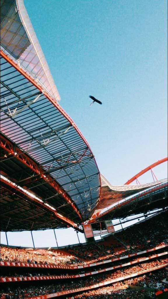 Lugar Estádio Sport Lisboa e Benfica