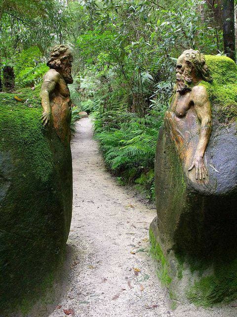 Place Dandenong Ranges National Park