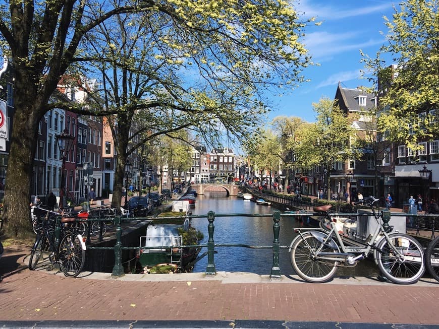 Lugar Canales de Ámsterdam