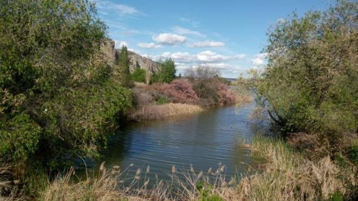 Place Laguna del Campillo