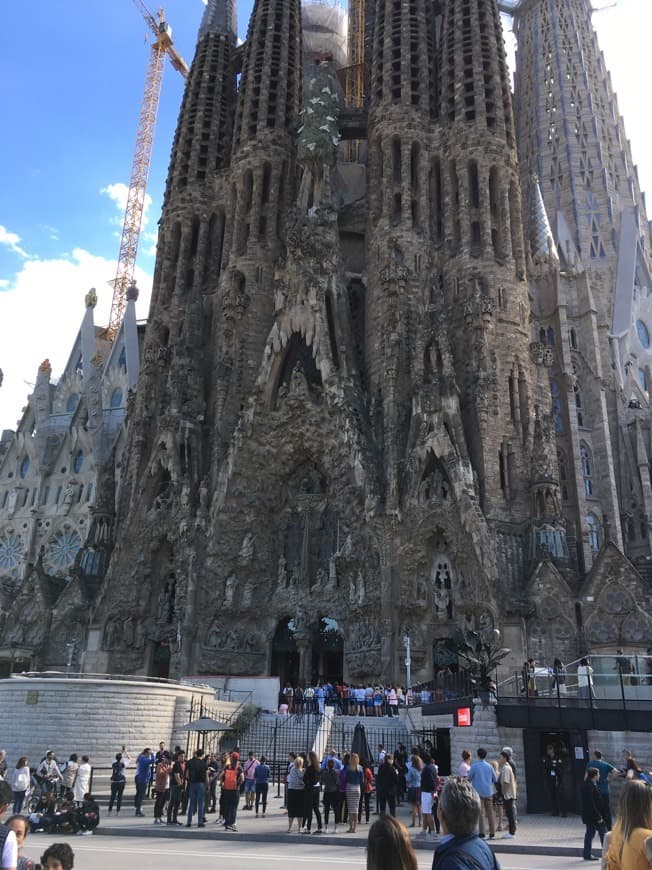 Lugar Basílica Sagrada Familia