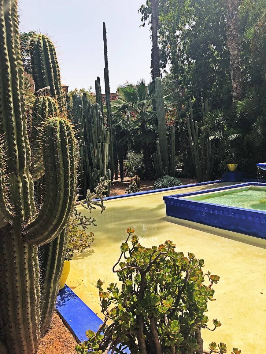 Place Jardín Majorelle