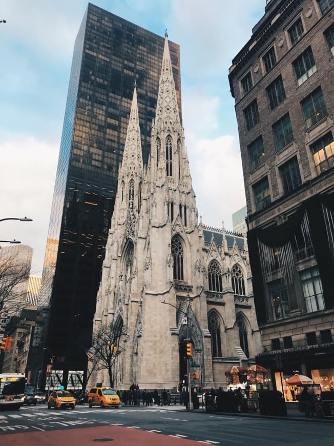 Lugar Saint Patrick's Cathedral